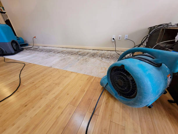Professional Structural Drying technician working in Gallipolis, OH